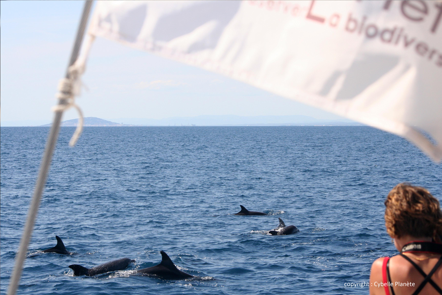 ecotourisme cybelle planete