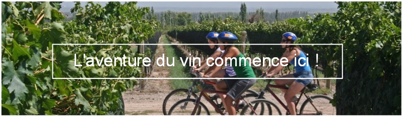 image foodvin oenotourisme