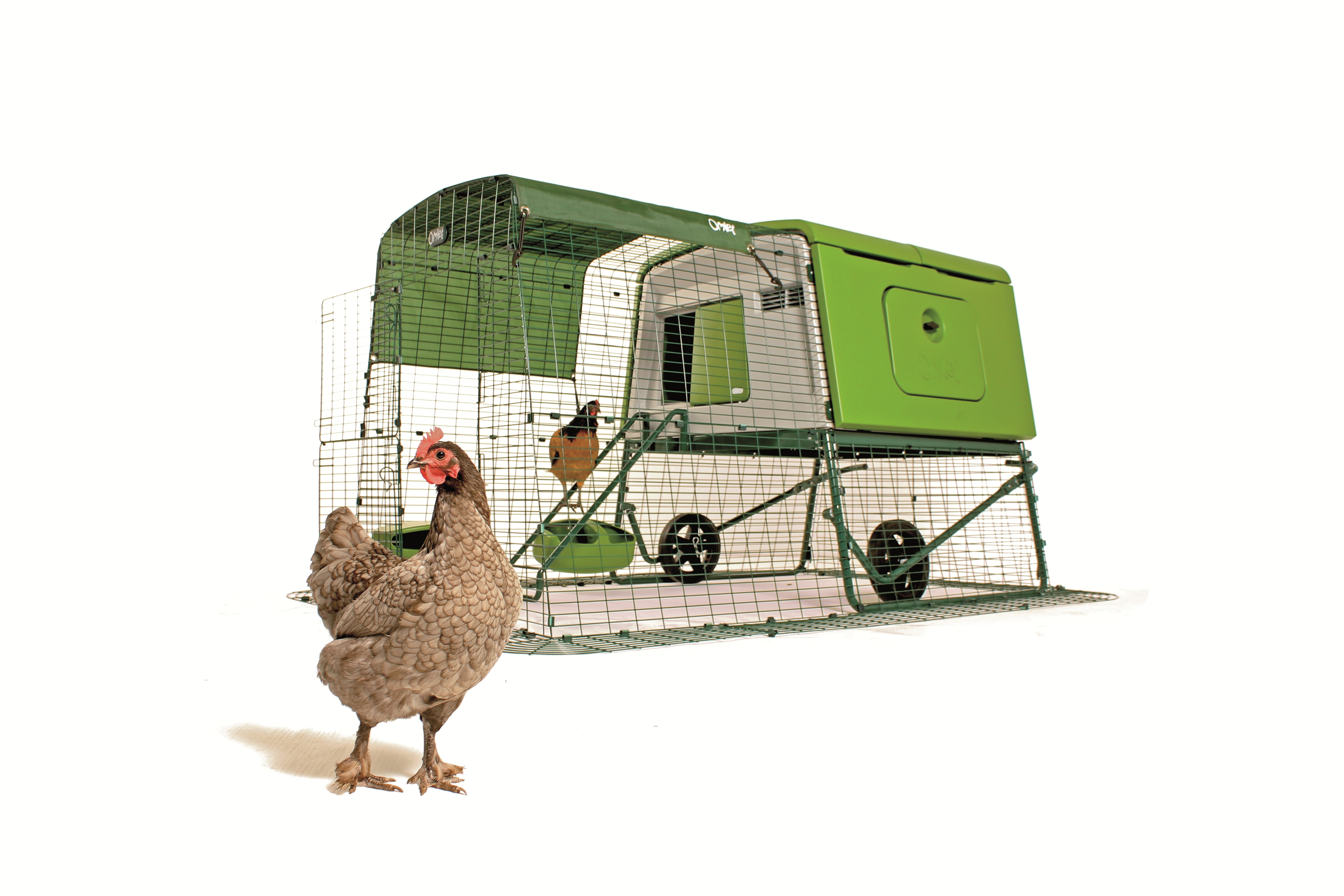 poulailler en plastique Eglu cube d’Omlet