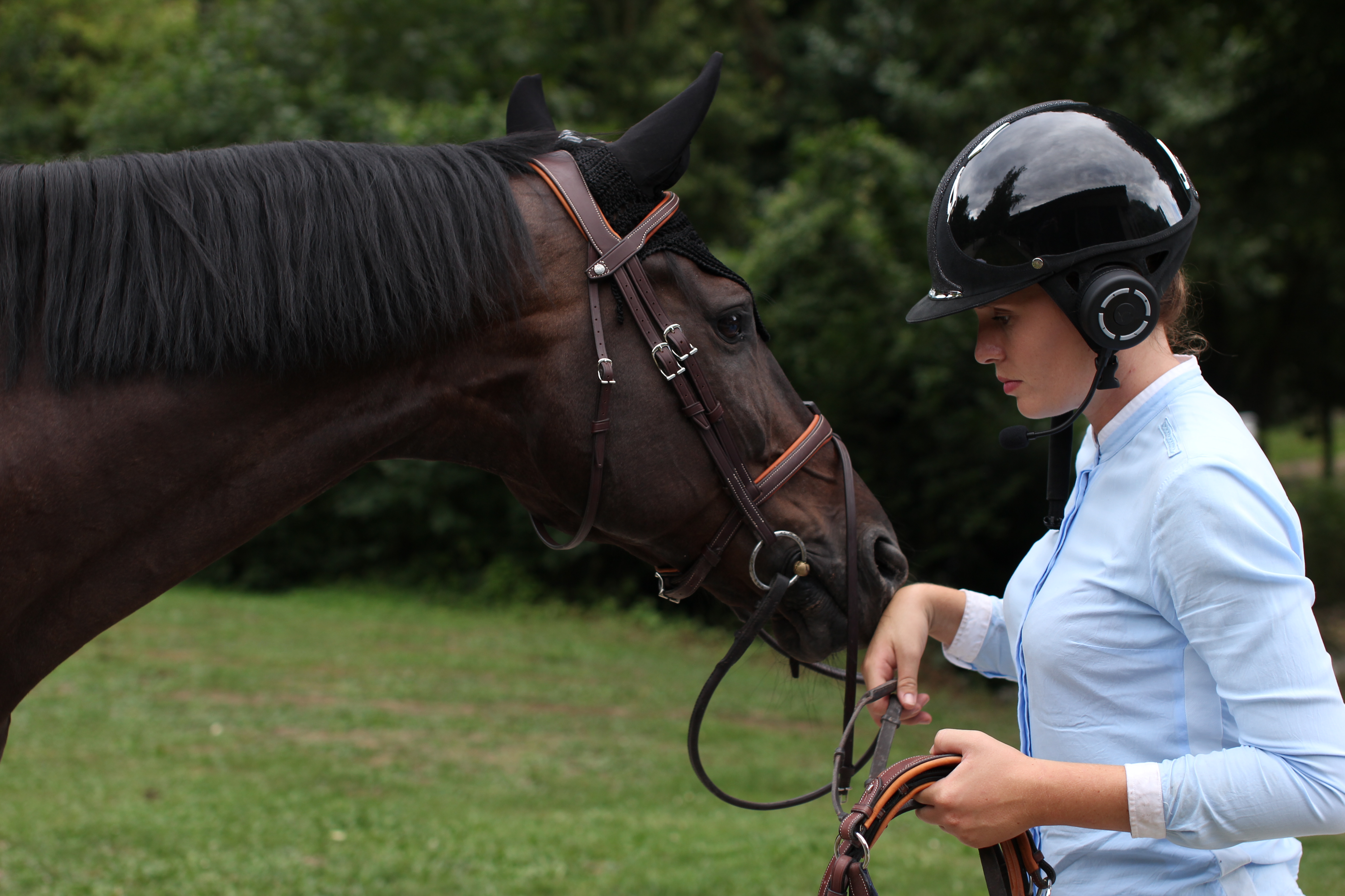 horsecom