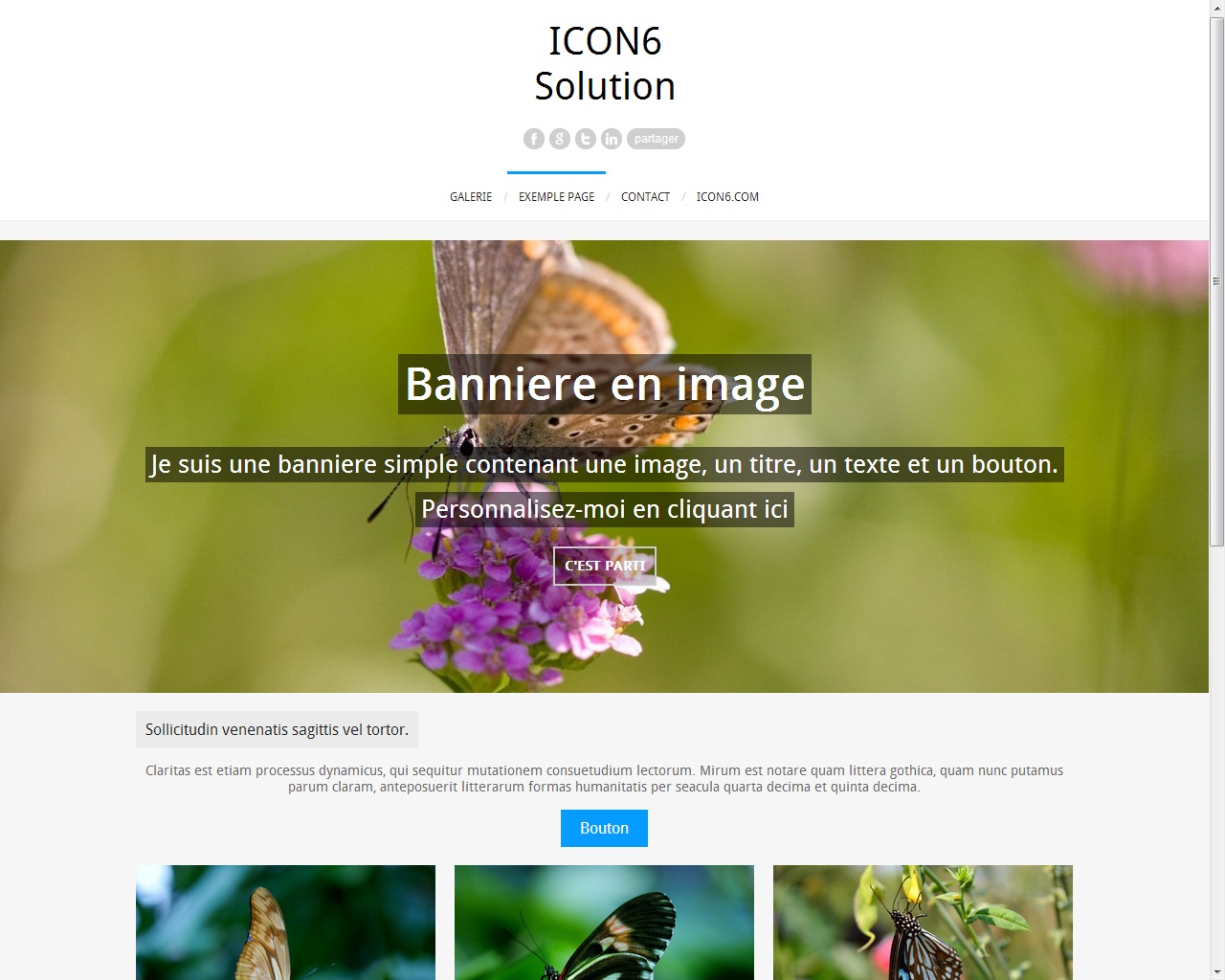 image icon6