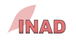 logo inad