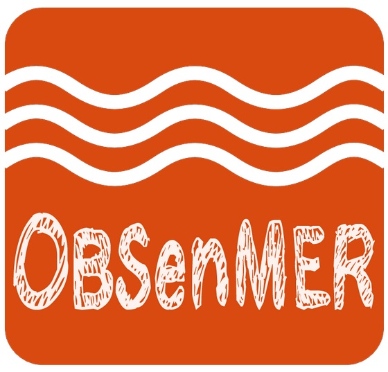 logo obsenmer