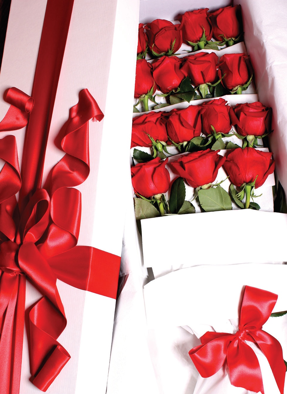 écrin de rose saint valentin