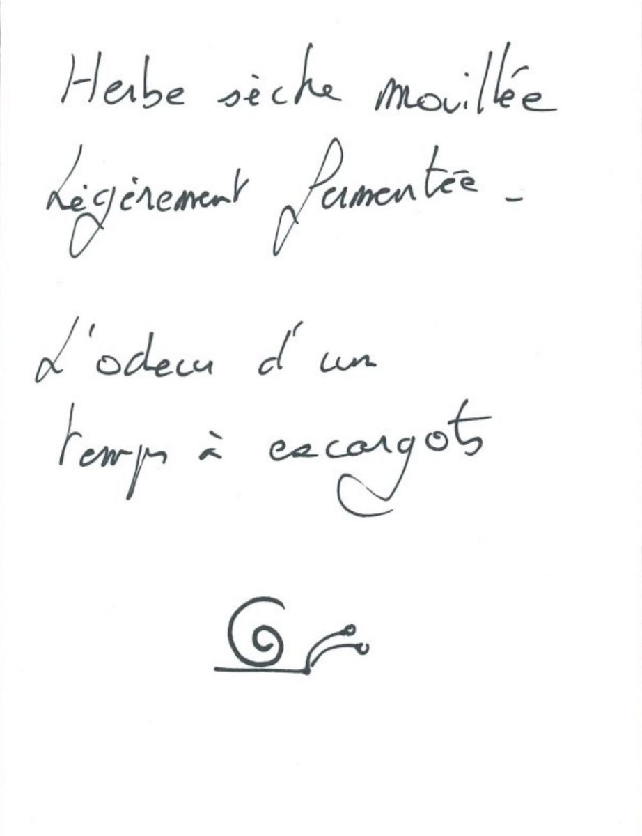 minute des odeurs
