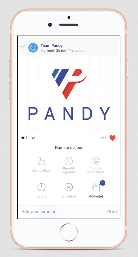 application pandy permis 