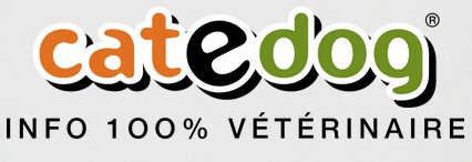 logo catedog