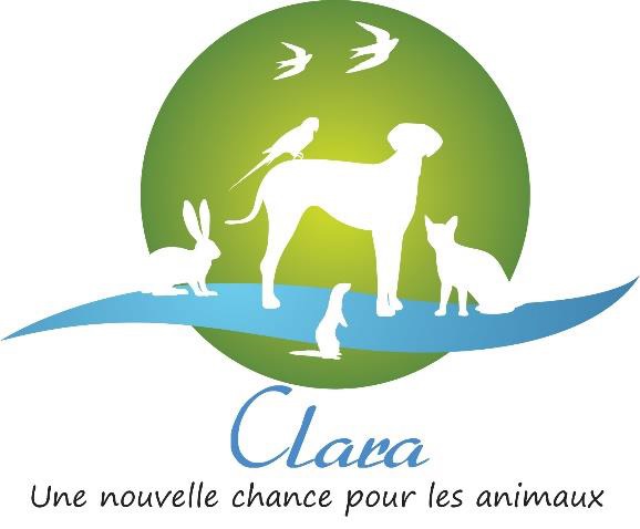 logo fondation clara