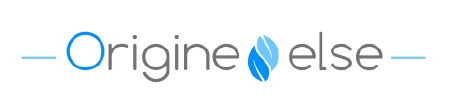 logo origine-else.com