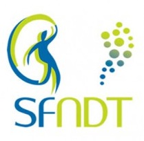 logo sfndt